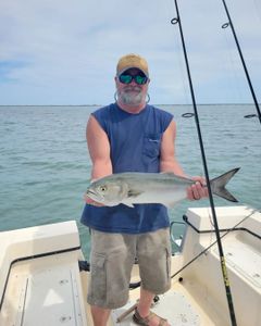 Bluefish caught in Wanchese during cruises and fishing