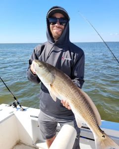Redfish, 22-inch fish caught in Wanchese