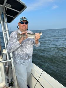 Spotted Weakfish caught on cruises and fishing trip in NC