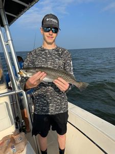 Spotted Weakfish caught in NC, 21 inches long