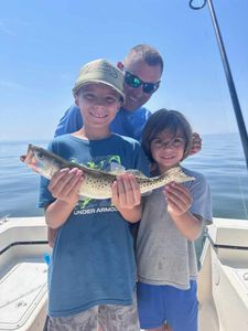 Spotted weakfish caught in Wanchese, cruising and fishing