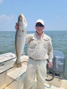 Spotted Weakfish, a 30-inch fish, caught in Wanchese