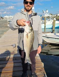 Striped bass fishing in NC