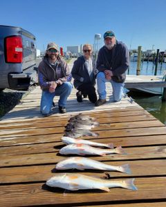 3 big fish caught by 3 people in Wanchese during cruises and fishing