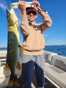 Northern pike caught fishing in Spring Park Minnesota