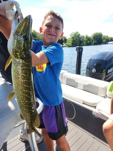Northern pike catch on fishing boat in Spring Park MN