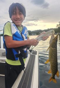 Northern pike fishing catch on boat in Spring Park Minnesota