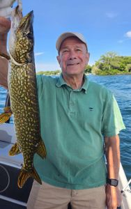 Northern pike catch displayed on boat in Spring Park MN fishing trip