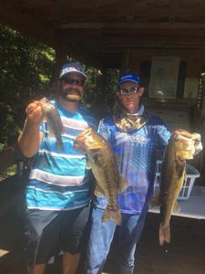 3 largemouth bass caught fishing in TN
