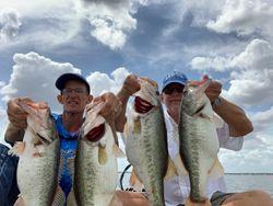 4 Largemouth Bass caught in TN