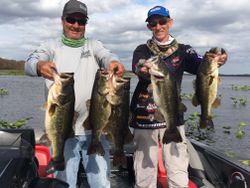 5 largemouth bass and florida bass caught while fishing in TN
