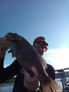 Lone angler in Tennessee fishing
