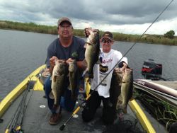 4 largemouth bass caught in Cleveland, Ohio