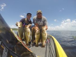 3 Largemouth Bass caught while fishing in Cleveland