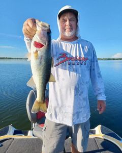 A largemouth bass caught while fishing in Cleveland