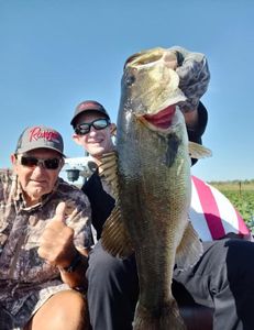 Largemouth bass caught in Cleveland, Ohio