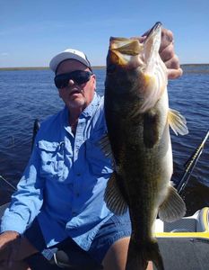 Largemouth Bass caught in Cleveland