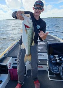 Largemouth bass caught while fishing in Cleveland