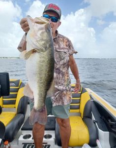 Largemouth bass caught while fishing in Cleveland