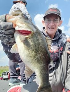 Largemouth bass caught while fishing in Cleveland