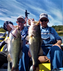 Largemouth bass fishing in Tennessee