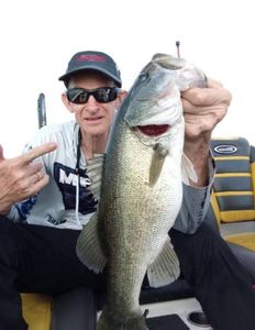 A largemouth bass caught while fishing in Tennessee