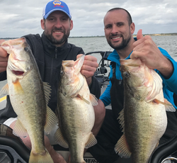 Largemouth bass fishing in TN