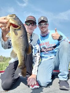 Largemouth bass caught in Tennessee