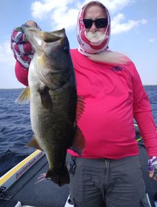 Largemouth Bass caught in TN