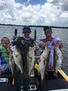 4 big largemouth bass caught in Tennessee