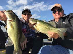 Two largemouth bass caught by anglers in Tennessee