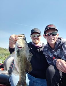 Largemouth Bass caught in TN