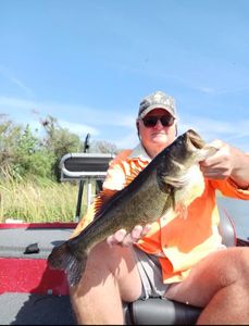Largemouth Bass caught in TN