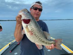 Largemouth Bass caught while fishing in Tennessee