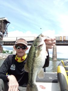 Photograph of a spotted bass fish caught in Cleveland, Ohio