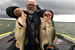 Three largemouth bass caught in Tennessee