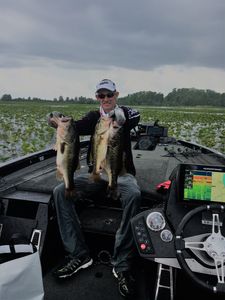Three Largemouth Bass caught fishing in Cleveland