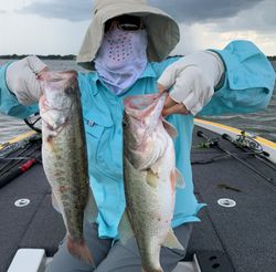 Two Largemouth Bass caught in Cleveland
