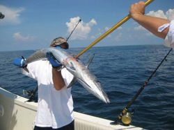 One fishing rod and reel with Biloxi, Mississippi in the background