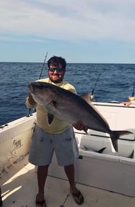 A single, impressive greater amberjack fish caught in MS