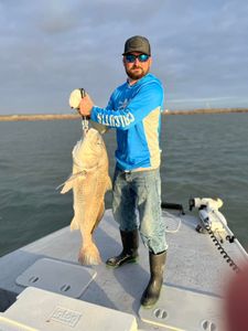 Fishing the Texas Gulf Coast for Drum