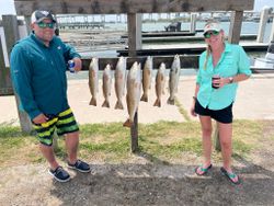 Red drum and sea trout in Port Aransas