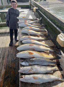 Redfish Bliss: Inshore Wonders in Port Aransas
