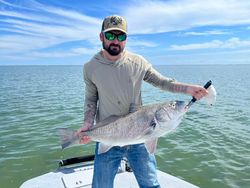 Black Drum, a 25-inch fish, caught while fishing in TX
