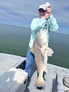 Freshwater drum fish caught in Aransas Pass