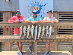 9 spotted weakfish, fishing in TX