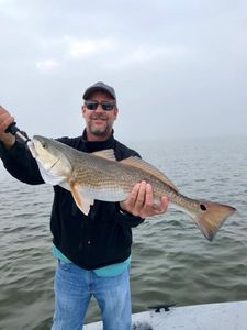 Redfish caught in TX