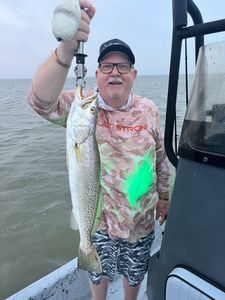 Spotted Weakfish caught in Aransas Pass