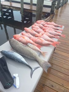 Snapper Fishing paradise in Panama City!