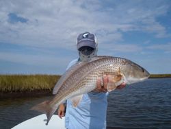 Catch Redfish in Panama City!